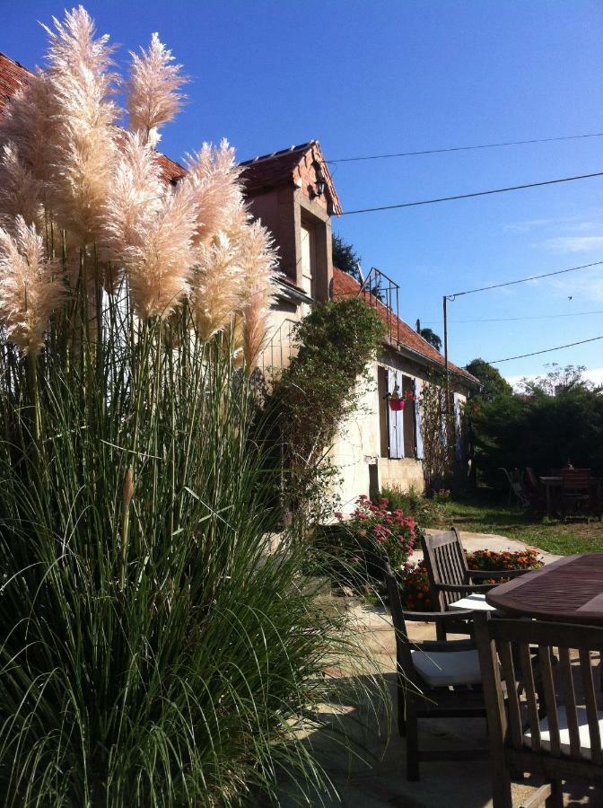 Le Petit Savriere B&B Tronget Extérieur photo
